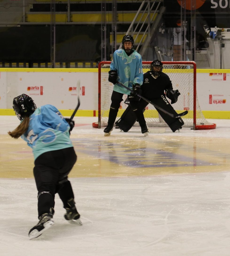 DL Hockey hockeytjejer